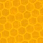 Fluorescent Yellow Prismatic